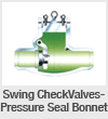 swing check valves, bolted bonnet